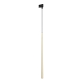 Lámpara colgante para sistema de rieles trifásico PIANO 1xG9/8W/230V dorado/negro