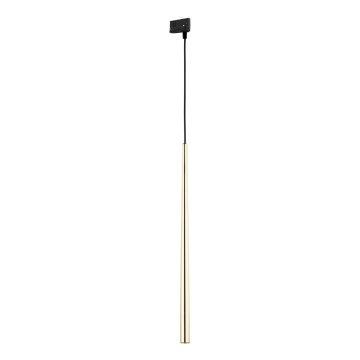 Lámpara colgante para sistema de rieles trifásico PIANO 1xG9/8W/230V dorado/negro