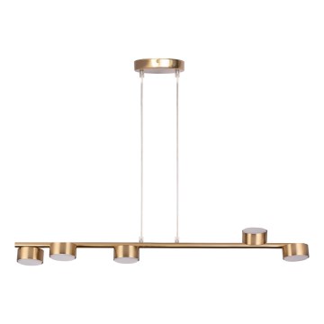Lámpara colgante PUNTO 5xGX53/12W/230V dorado