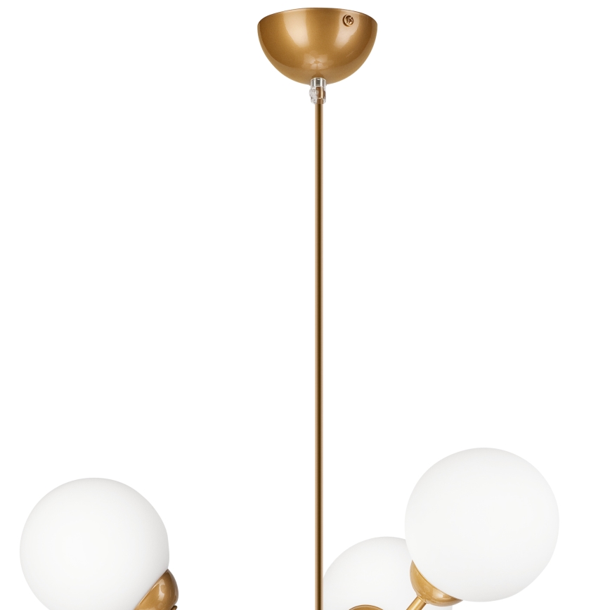 Lámpara colgante RUBBY BALL 6xG9/5W/230V dorado
