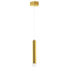 Lámpara de araña LED GOLDIE 1xLED/5W/230V dorado