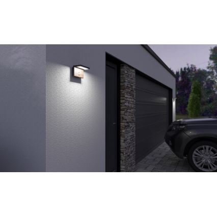 LED Aplique para exterior con sensor NATURA LED/12W/230V 4000K IP54 marrón/antracita