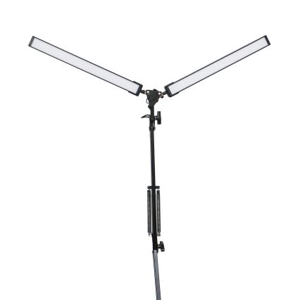 Lámpara de mesa LED con clip 2xLED/10W/230V 2800-6800K