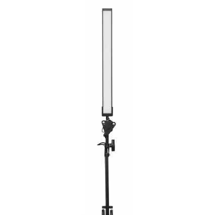 Lámpara de mesa LED con clip LED/10W/230V 2800-6800K