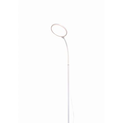 Lámpara de pie LED regulable 2en1 LED/10W/230V blanco