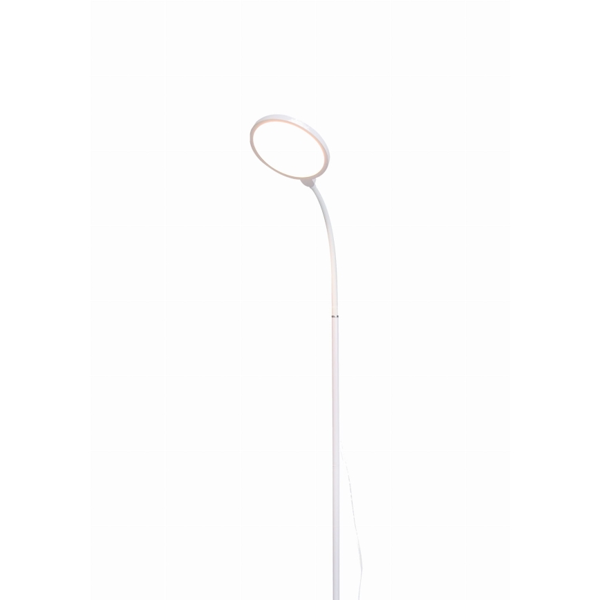 Lámpara de pie LED regulable 2en1 LED/10W/230V blanco