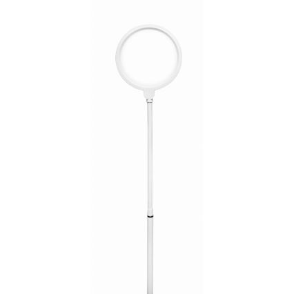 Lámpara de pie LED regulable 2en1 LED/10W/230V blanco