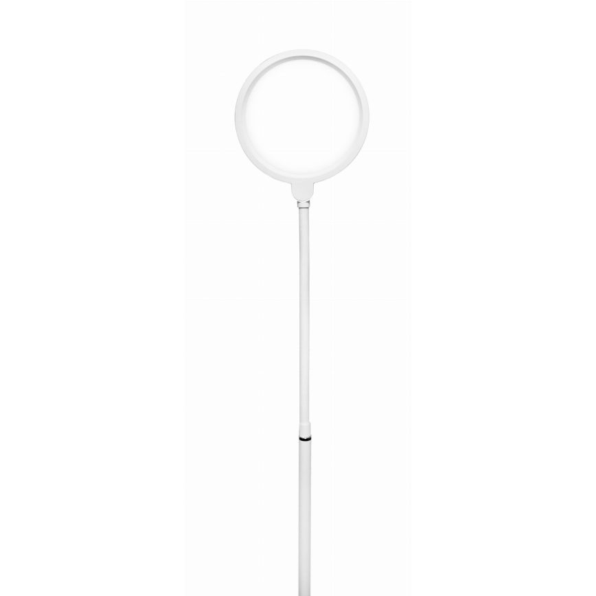 Lámpara de pie LED regulable 2en1 LED/10W/230V blanco