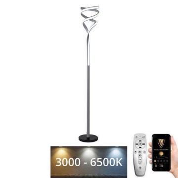 Lámpara de pie LED regulable LED/50W/230V 3000-6500K gris + control remoto