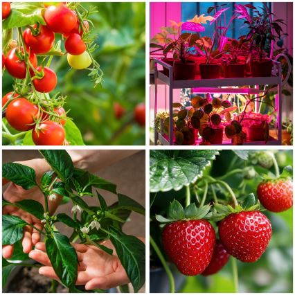 Lámpara de pie flexible LED regulable para el cultivo de plantas VITARO 4xLED/7,5W/230V negro