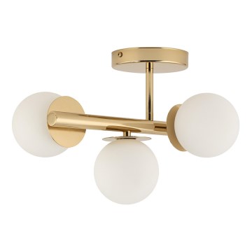 Lámpara de techo AVOLA 3xG9/12W/230V dorado