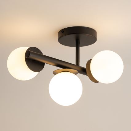 Lámpara de techo AVOLA 3xG9/12W/230V negro