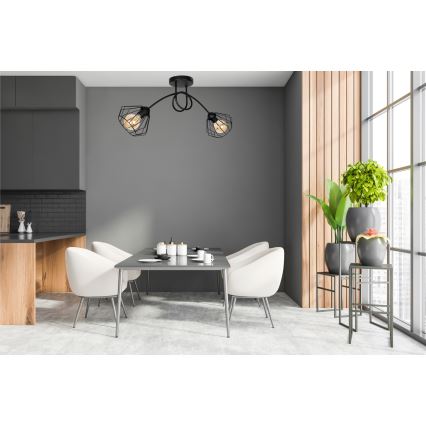 Lámpara de techo CEED 2xE27/60W/230V