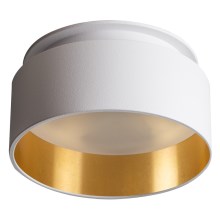 Lámpara de techo GOVIK 10W blanco/dorado