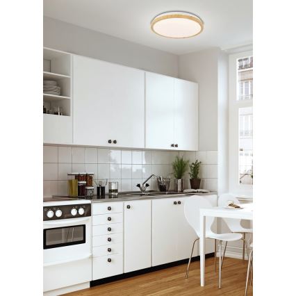 Lámpara de techo LED GANDAVA LED/18W/230V