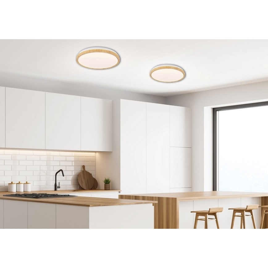 Lámpara de techo LED GANDAVA LED/18W/230V