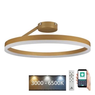 Lámpara de techo LED regulable LED/40W/230V 3000-6500K dorado + control remoto