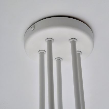 Lámpara de techo MATYLDA 5xE27/60W/230V blanco