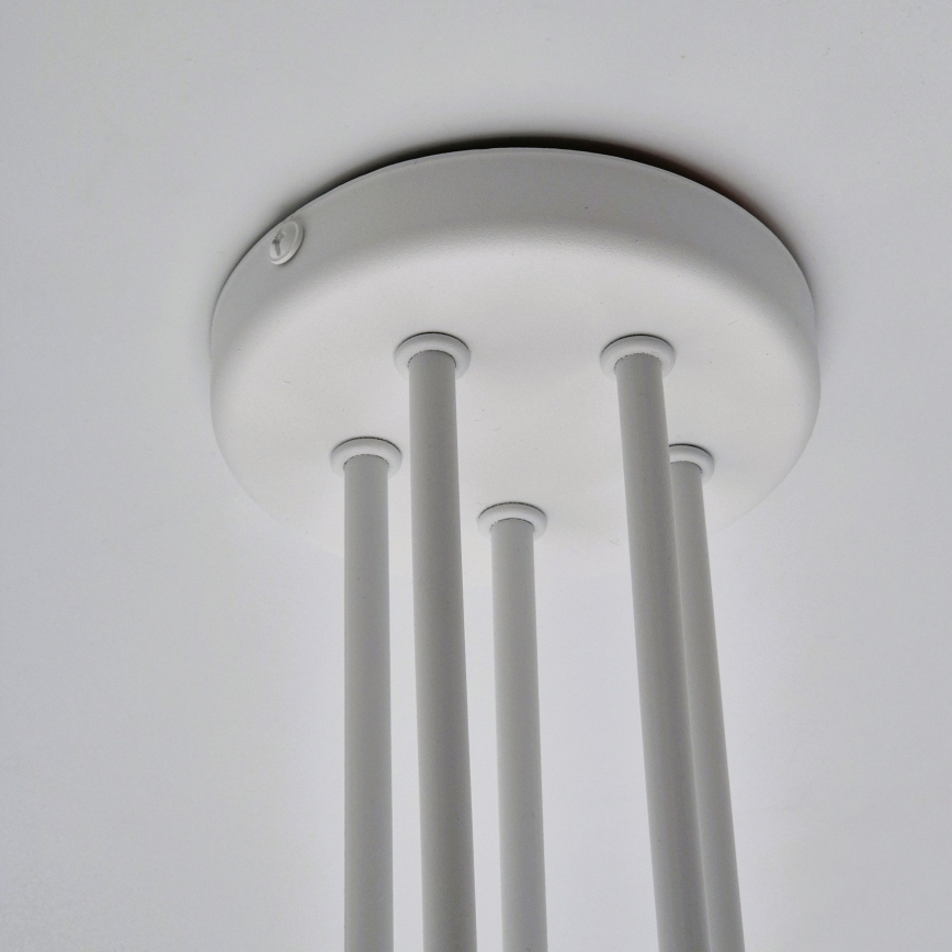 Lámpara de techo MATYLDA 5xE27/60W/230V blanco