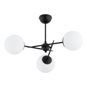 Lámpara de techo PRIMERY 3xE14/10W/230V negro