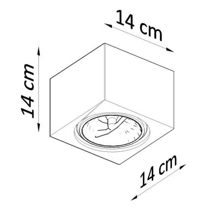 Lámpara de techo SEIDA 1xGU10/40W/230V