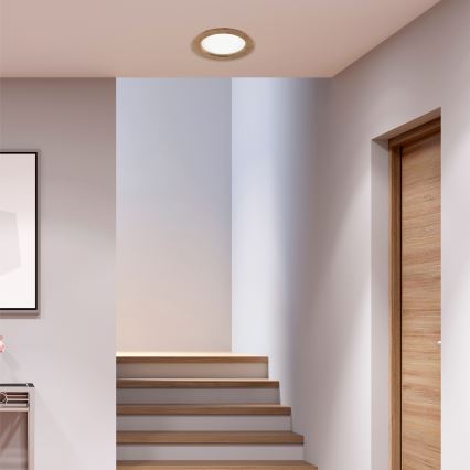 Lámpara empotrada WOODY SPOT LED/16,5W/230V 4000K nogal ø 18,5 cm