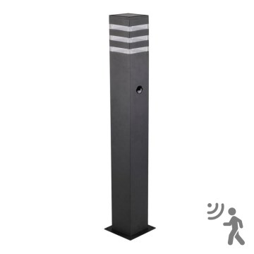 Lámpara exterior con sensor TEKSAS 1xE27/12W/230V IP44 74 cm grafito