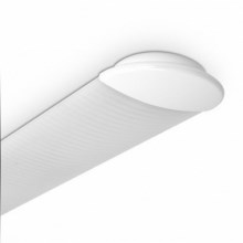 Lámpara fluorescente ECO T8 2xG13/18W/230V