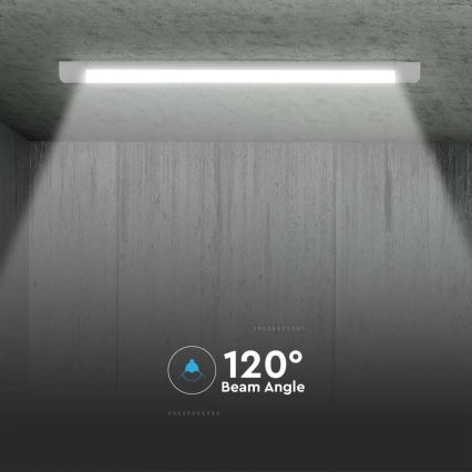 Lámpara LED bajo mueble de cocina SAMSUNG CHIP LED/10W/230V 6500K 30 cm