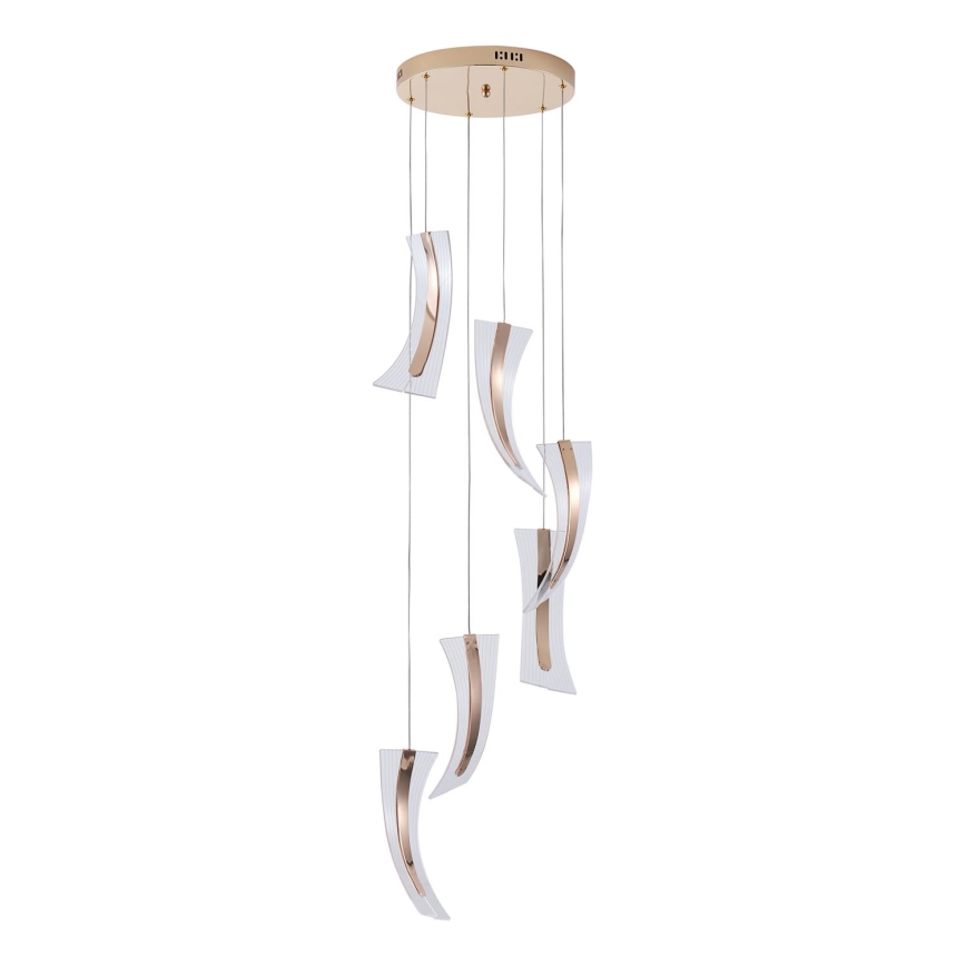 Lámpara LED colgante 6xLED/10W/230V 3000K