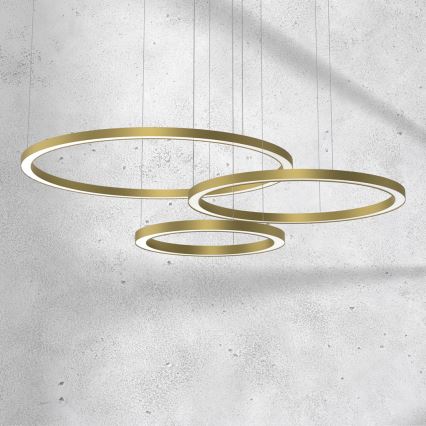 Lámpara LED colgante GALAXIA LED/85W/230V dorado