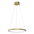 Lámpara LED colgante HOOP LED/27W/230V diá. 50 cm 4000K dorado