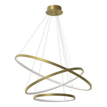 Lámpara LED colgante HOOP LED/93W/230V diá. 80 cm 4000K dorado