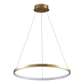 Lámpara LED colgante LEA LED/20W/230V 4000K diá. 50 cm dorado