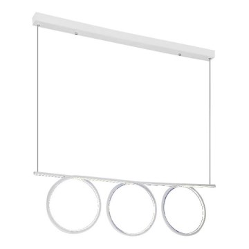 Lámpara LED colgante LOOP 3xLED/20W/230V blanca