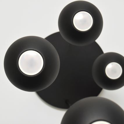 Lámpara LED colgante MIDWAY 4xGU10/4,8W/230V negro
