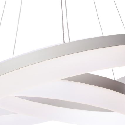 Lámpara LED colgante regulable RING con mando a distancia LED/60W/230V