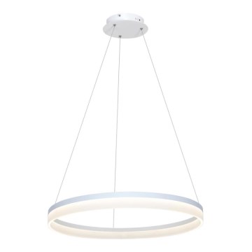 Lámpara LED colgante RING LED/36W/230V