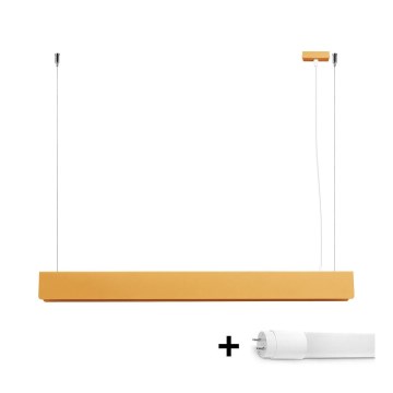 Lámpara LED colgante SPARK 1xG13/8,5W/230V dorado