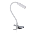 Lámpara LED con clip LAGOS 1xG9/3W/230V 4000K blanco