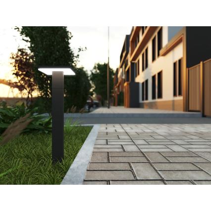 Lámpara LED de exterior con sensor BARI LED/10W/230V 4000K 60 cm IP54 antracita