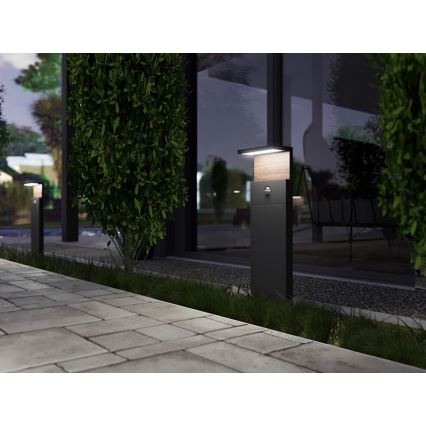 Lámpara LED de exterior con sensor NATURA LED/12W/230V 4000K IP54 marrón/antracita