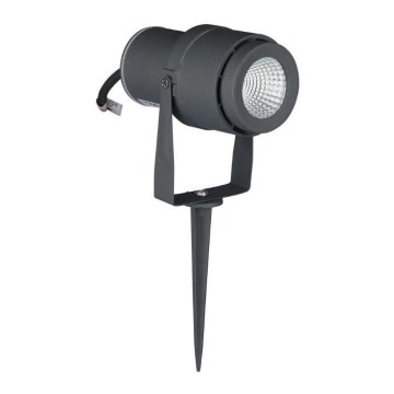 Lámpara LED de exterior LED/12W/230V 4000K antracita IP65