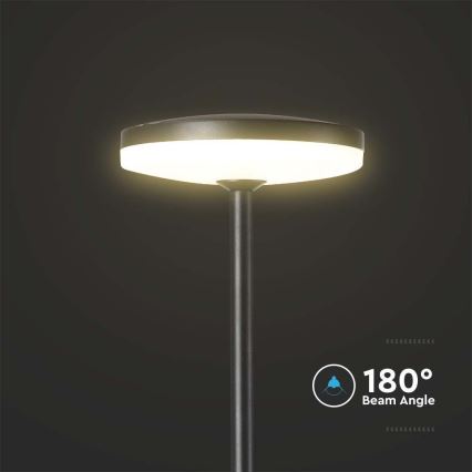 Lámpara LED de exterior LED/12W/230V 4000K IP65 antracita