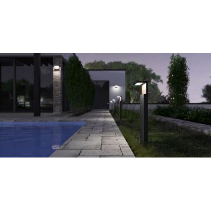 Lámpara LED de exterior NATURA LED/12W/230V 4000K 60 cm IP65 marrón/antracita