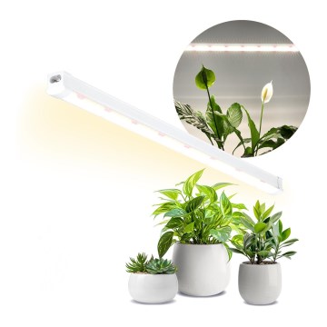 Lámpara LED debajo del gabinete para cultivar plantas GROWLY LED/15W/230W