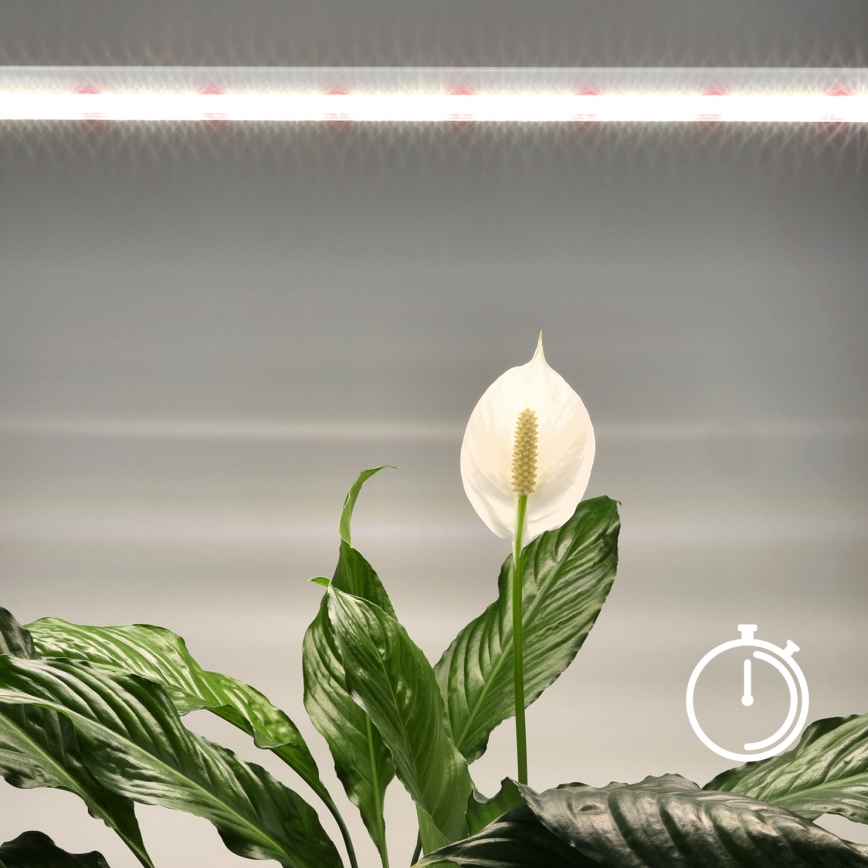 Lámpara LED debajo del gabinete para cultivar plantas GROWLY LED/15W/230W