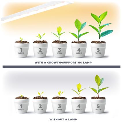 Lámpara LED debajo del gabinete para cultivar plantas GROWLY LED/15W/230W