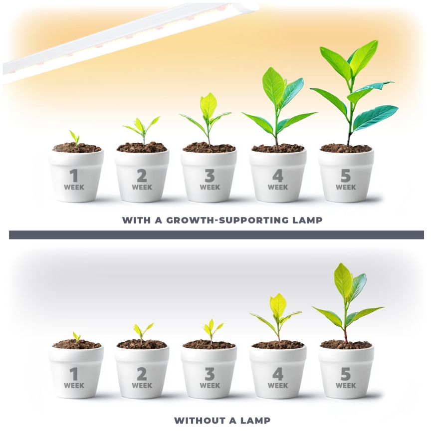 Lámpara LED debajo del gabinete para cultivar plantas GROWLY LED/15W/230W