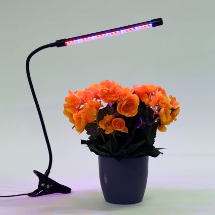 Lámpara LED regulable con clip para iluminar plantas LED/3W/230V negro